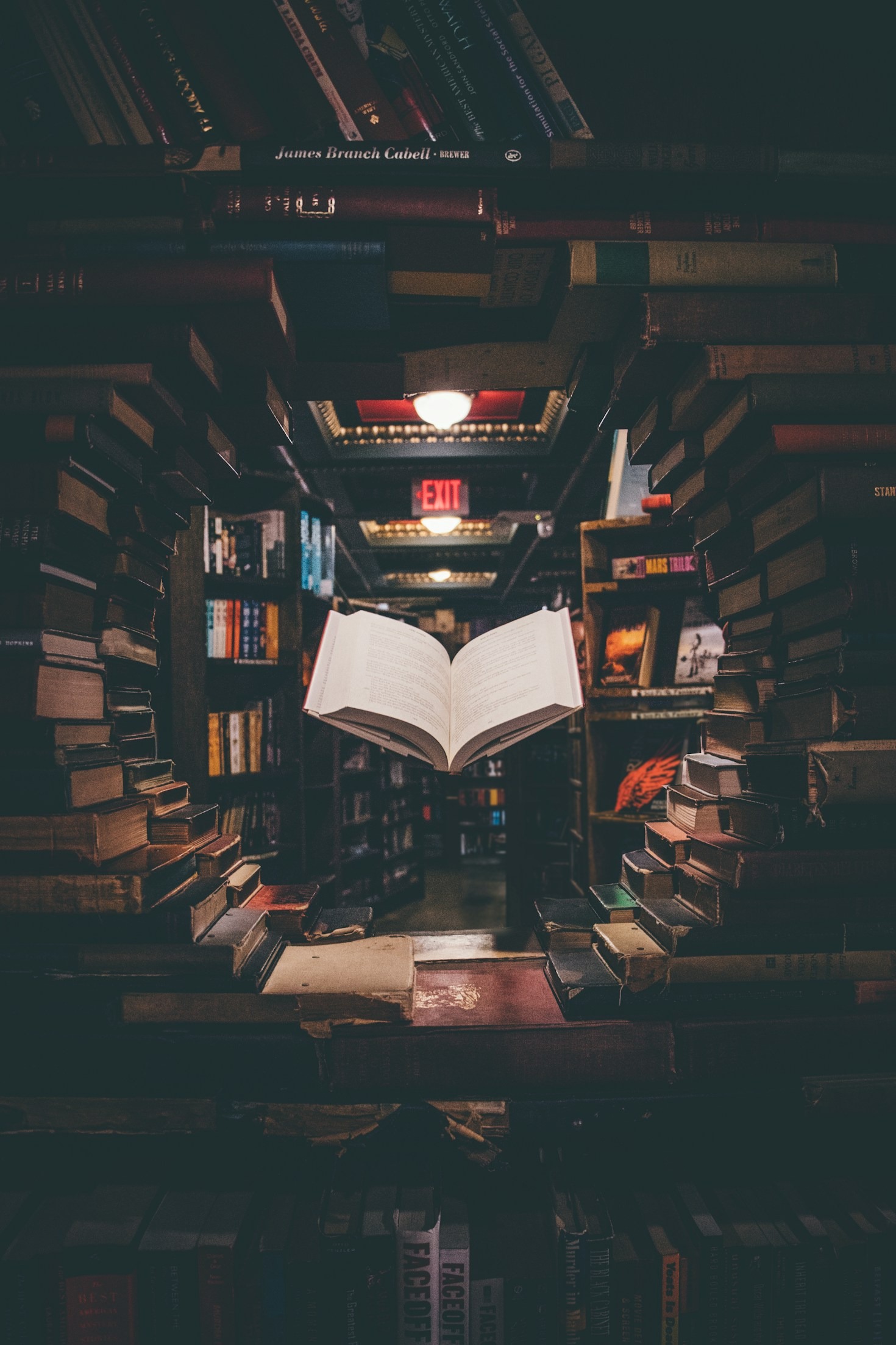 How Stories Help Us Understand Ourselves and Others